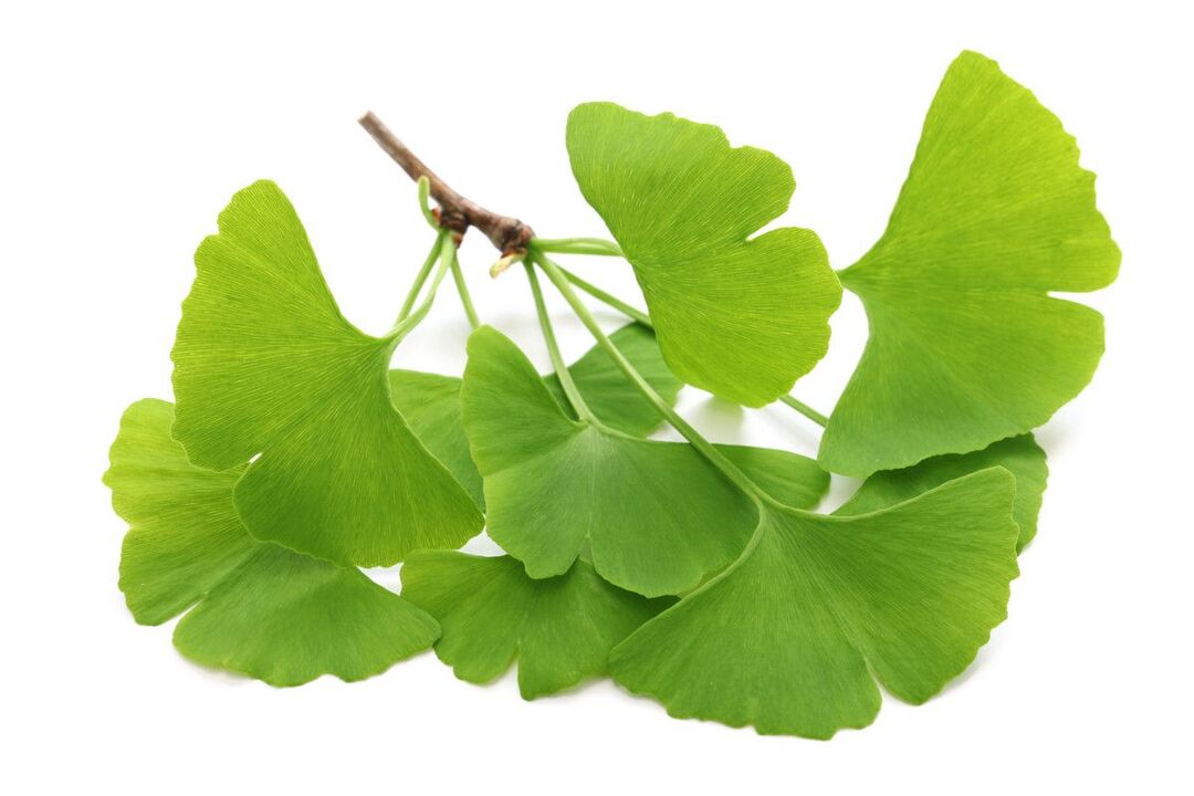 ginko biloba in gocce Alcozar